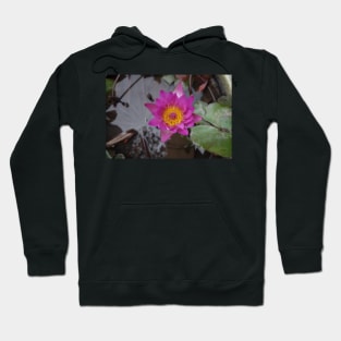 Pink Water Lily Hoodie